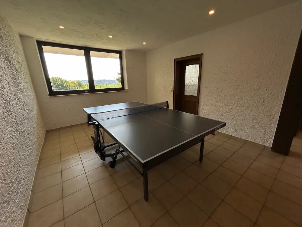 Tischtennis – Ferienhaus Wanderath N°10
