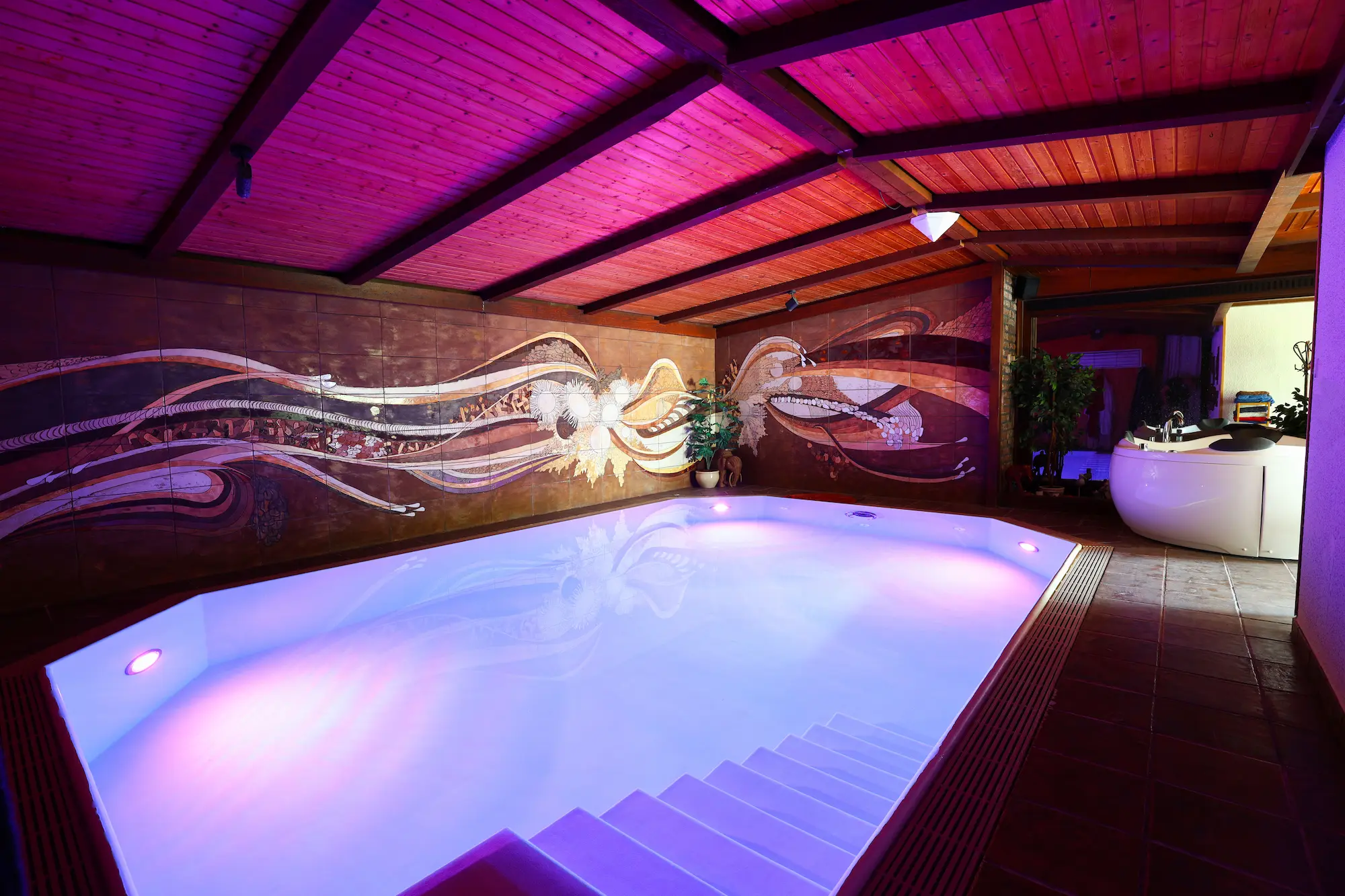 Privater Pool mit Whirlpool im Wellness-Ferienhaus Leimbach N°6