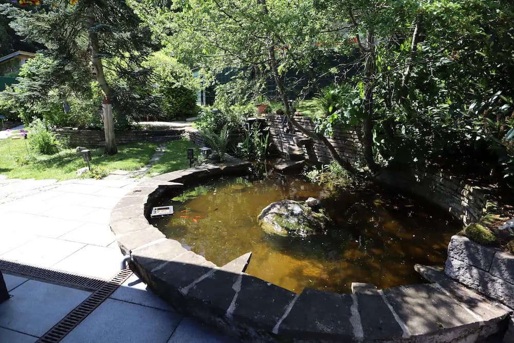 Fischteich im Garten des Ferienhauses Leimbach N°6